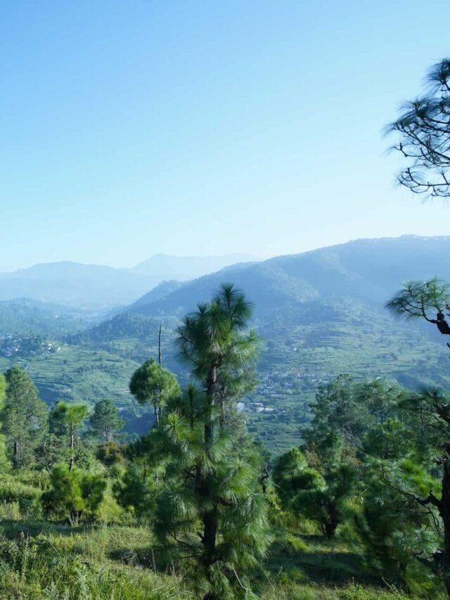 Retire in Uttarakhand: A Serene Haven for Your Golden Years